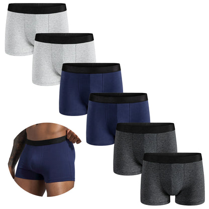 6pcs Pack 2024 Men Panties Cotton Underwear Male Brand Boxer Luxury Set