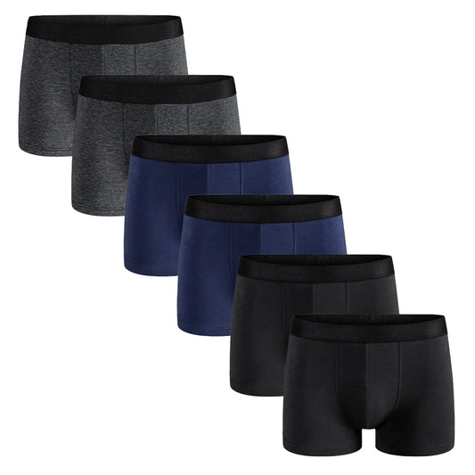 6pcs Pack 2024 Men Panties Cotton Underwear Male Brand Boxer Luxury Set